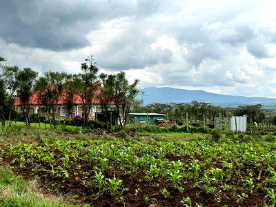 Prime 50by100ft Plots for Sale in Mai-Mahiu - Image 15