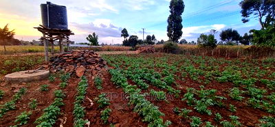 Prime Plots for Sale in Kapsoya Delicacy in Eldoret - Image 1