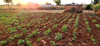 Prime Plots for Sale in Kapsoya Delicacy in Eldoret - Image 9