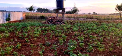 Prime Plots for Sale in Kapsoya Delicacy in Eldoret - Image 8