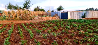 Prime Plots for Sale in Kapsoya Delicacy in Eldoret - Image 6