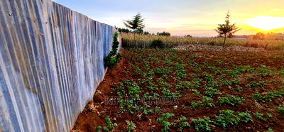 Prime Plots for Sale in Kapsoya Delicacy in Eldoret - Image 2