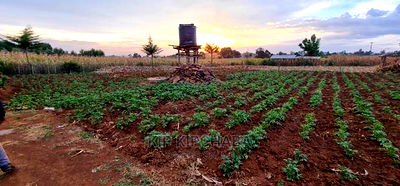 Prime Plots for Sale in Kapsoya Delicacy in Eldoret - Image 3