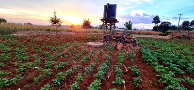 Prime Plots for Sale in Kapsoya Delicacy in Eldoret - Image 5