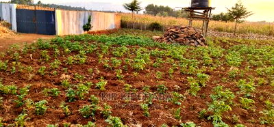 Prime Plots for Sale in Kapsoya Delicacy in Eldoret - Image 7