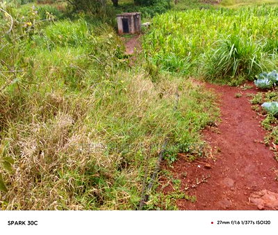 Land for Sale - Image 3