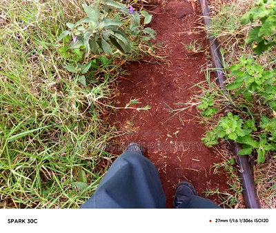 Land for Sale - Image 1