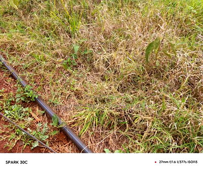 Land for Sale - Image 5