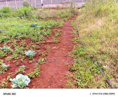 Land for Sale - Image 4