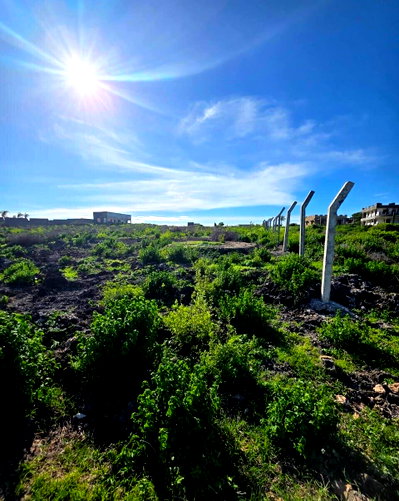 2-Acre Beachfront Land for KSh 50M