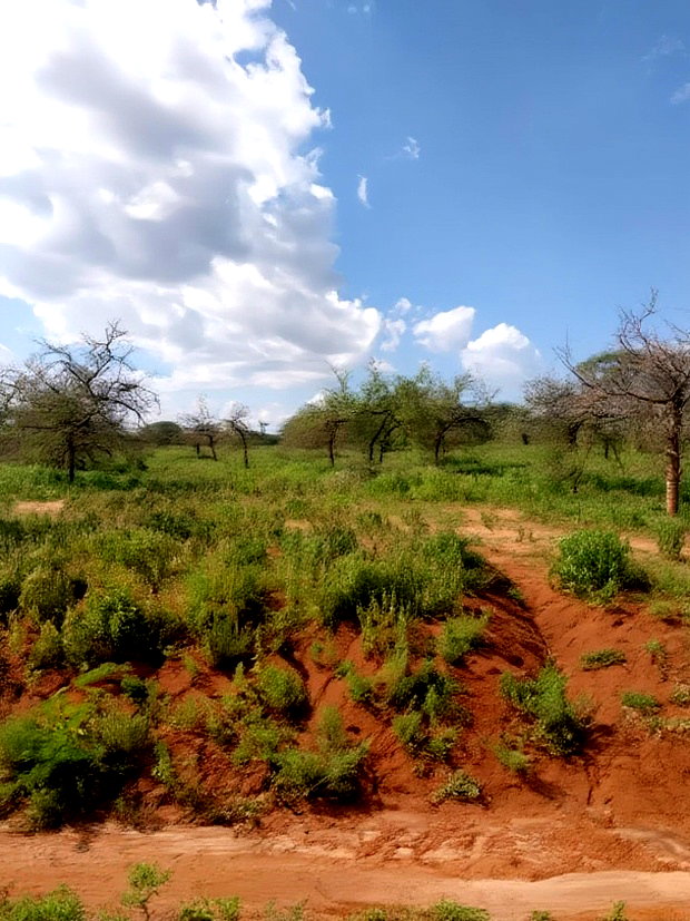 47 Acres Block on Sale in Mashuru Kajiado County