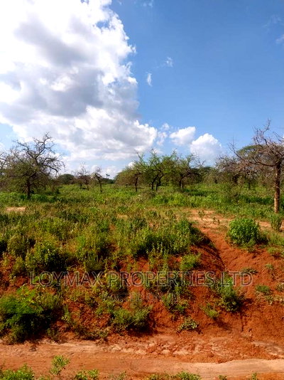 47 Acres Block on Sale in Mashuru Kajiado County - Image 2