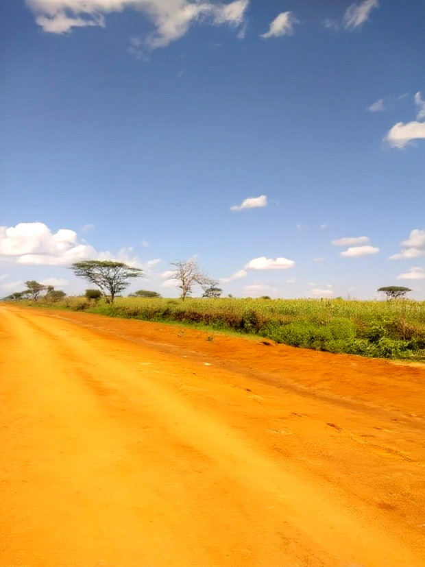 47 Acres Block on Sale in Mashuru Kajiado County