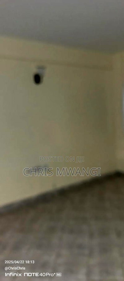 1bdrm Block of Flats in Ruiru Estate, Kwa Kairu for sale - Image 6