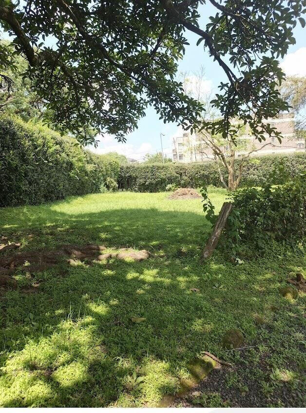 KSh 320M Kilimani Land Deal