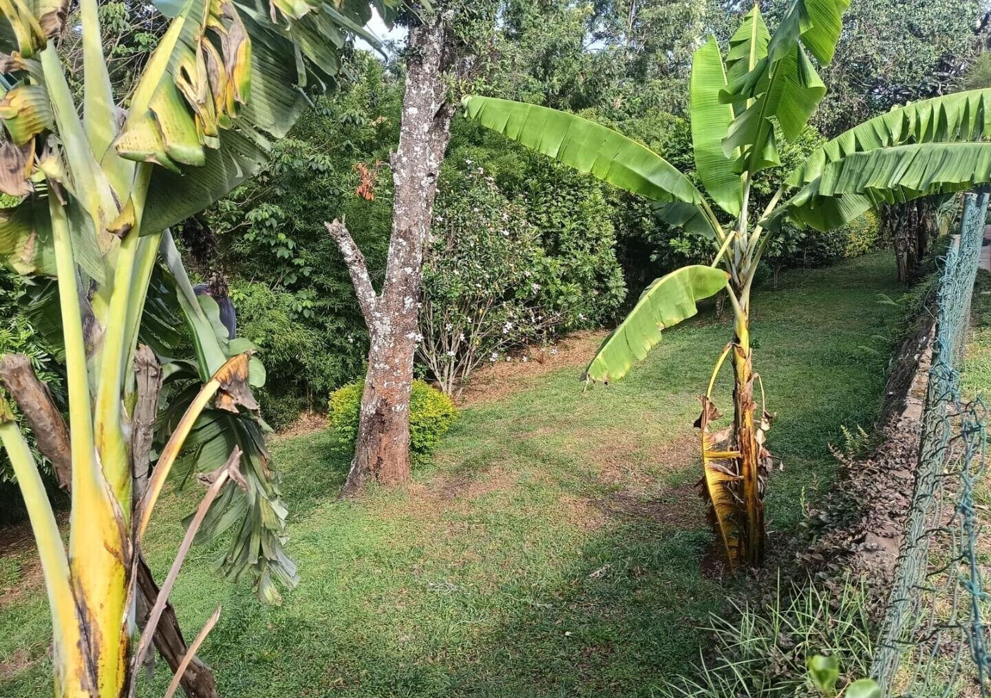 Half Acre 3BR Bungalow for KSh 150K