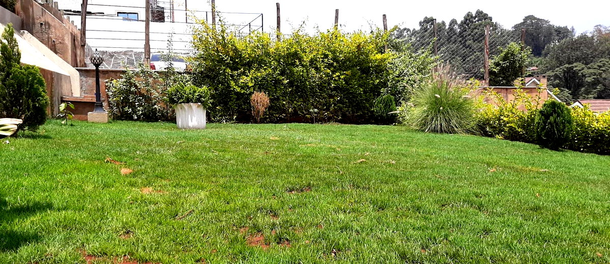 Brand New 4BR En-Suite Townhouse with Fireplace & Private Garden - Kitisuru