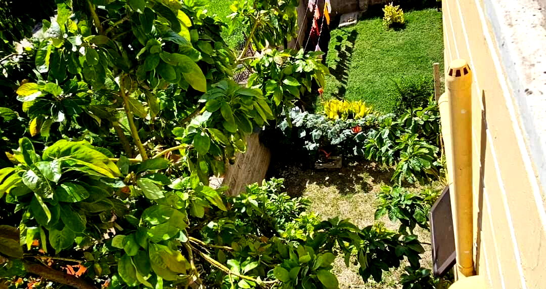 4BR Villa with DSQ & Solar Heating - Shree Villas, Athi River