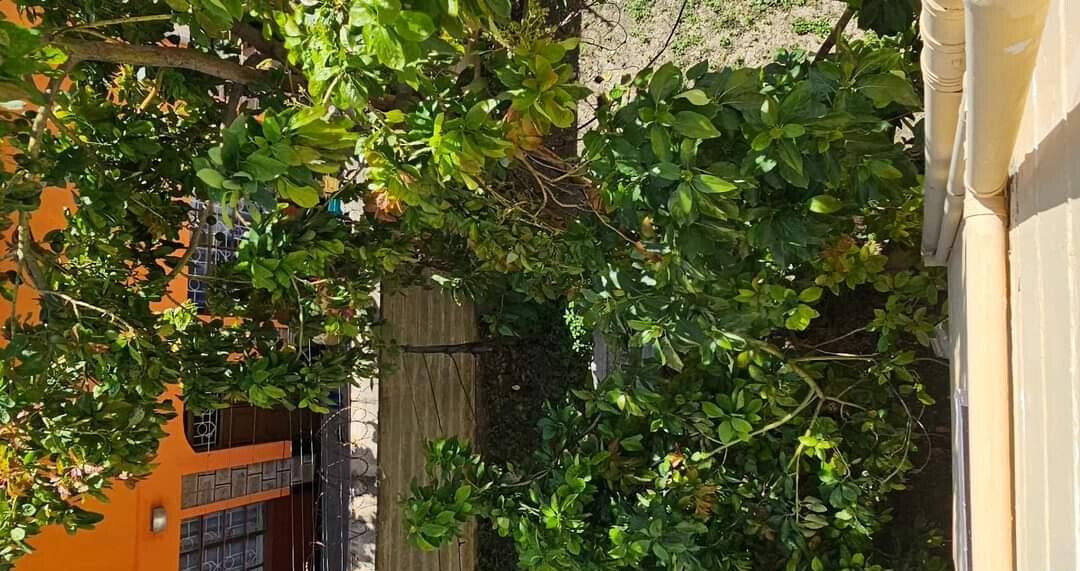 4BR Villa with DSQ & Solar Heating - Shree Villas, Athi River