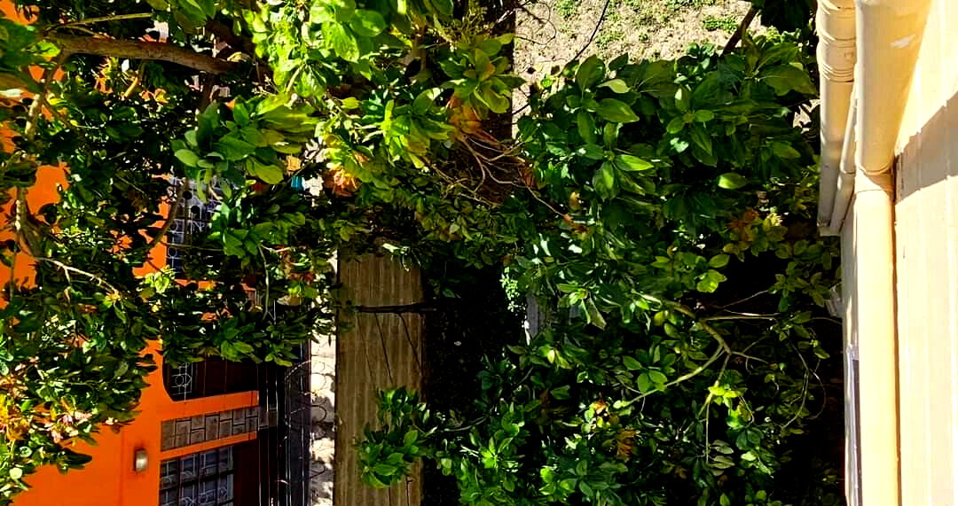 4BR Villa with DSQ & Solar Heating - Shree Villas, Athi River