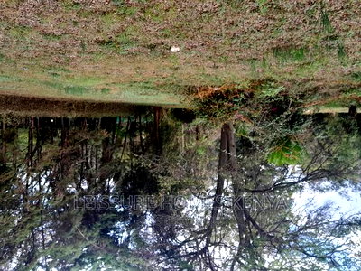 Prime 1.4 Acre Residential Plot for Sale - Image 4