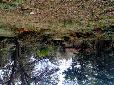 Prime 1.4 Acre Residential Plot for Sale - Image 5