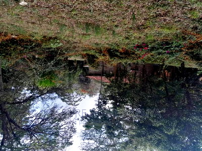 Prime 1.4 Acre Residential Plot for Sale - Image 3