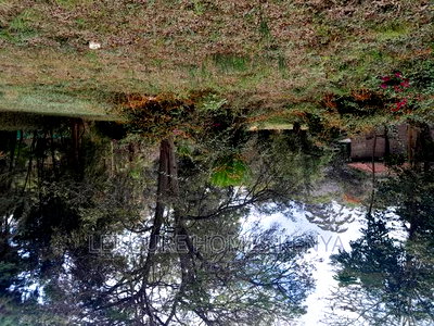 Prime 1.4 Acre Residential Plot for Sale - Image 2