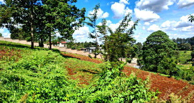 1 Acre Land in Limuru CBD