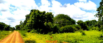 3-Acre Land in Malindi for KSh 3M