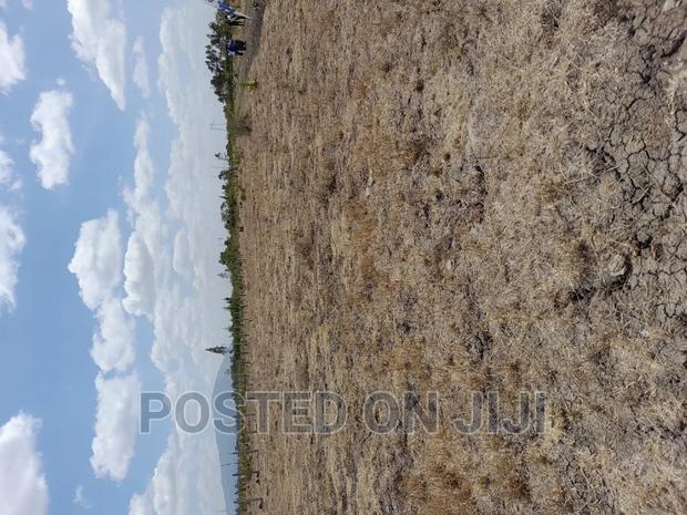 Malaa Plots Near Tarmac