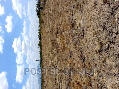 Malaa Plots Near Tarmac - Image 1