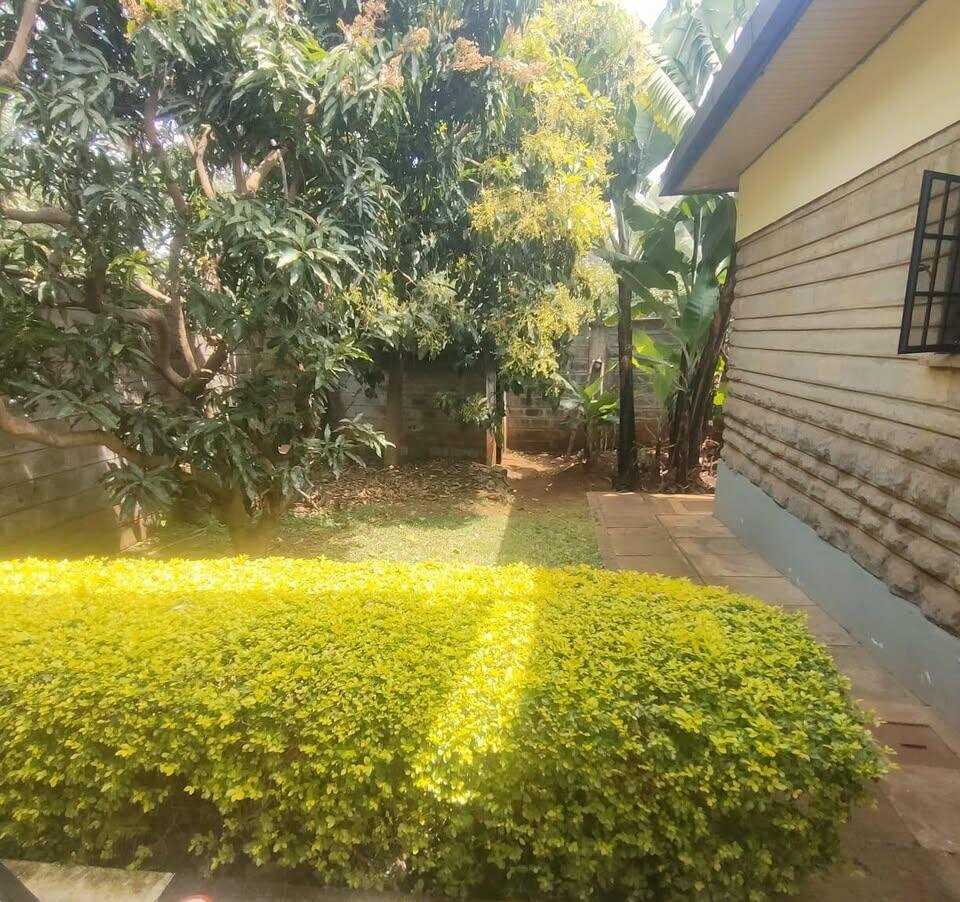 Garden Oasis at KSh 70K