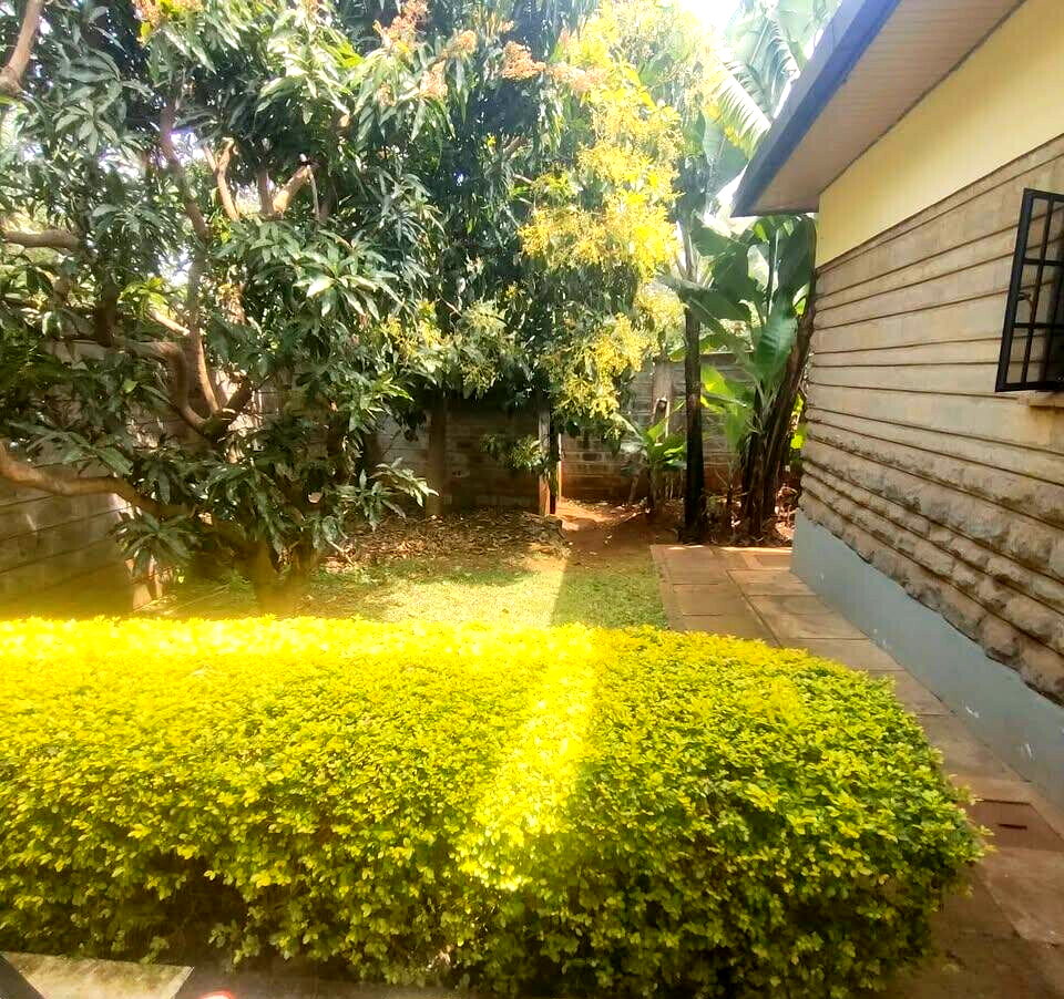 Garden Oasis at KSh 70K