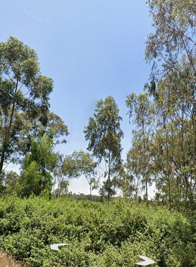 8-Acre Land with Thika Mangu Road Access