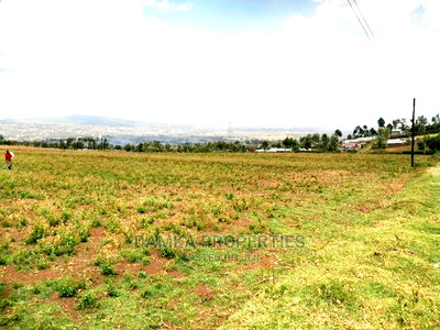 50*100 Plots for Sale in Ngata 2kms From Tarmac - Image 4