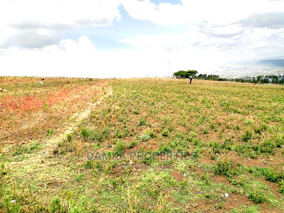 50*100 Plots for Sale in Ngata 2kms From Tarmac - Image 2
