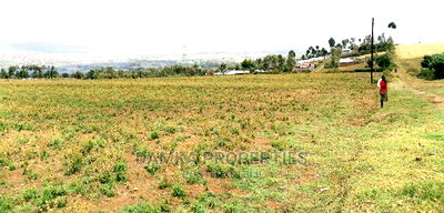 50*100 Plots for Sale in Ngata 2kms From Tarmac - Image 1