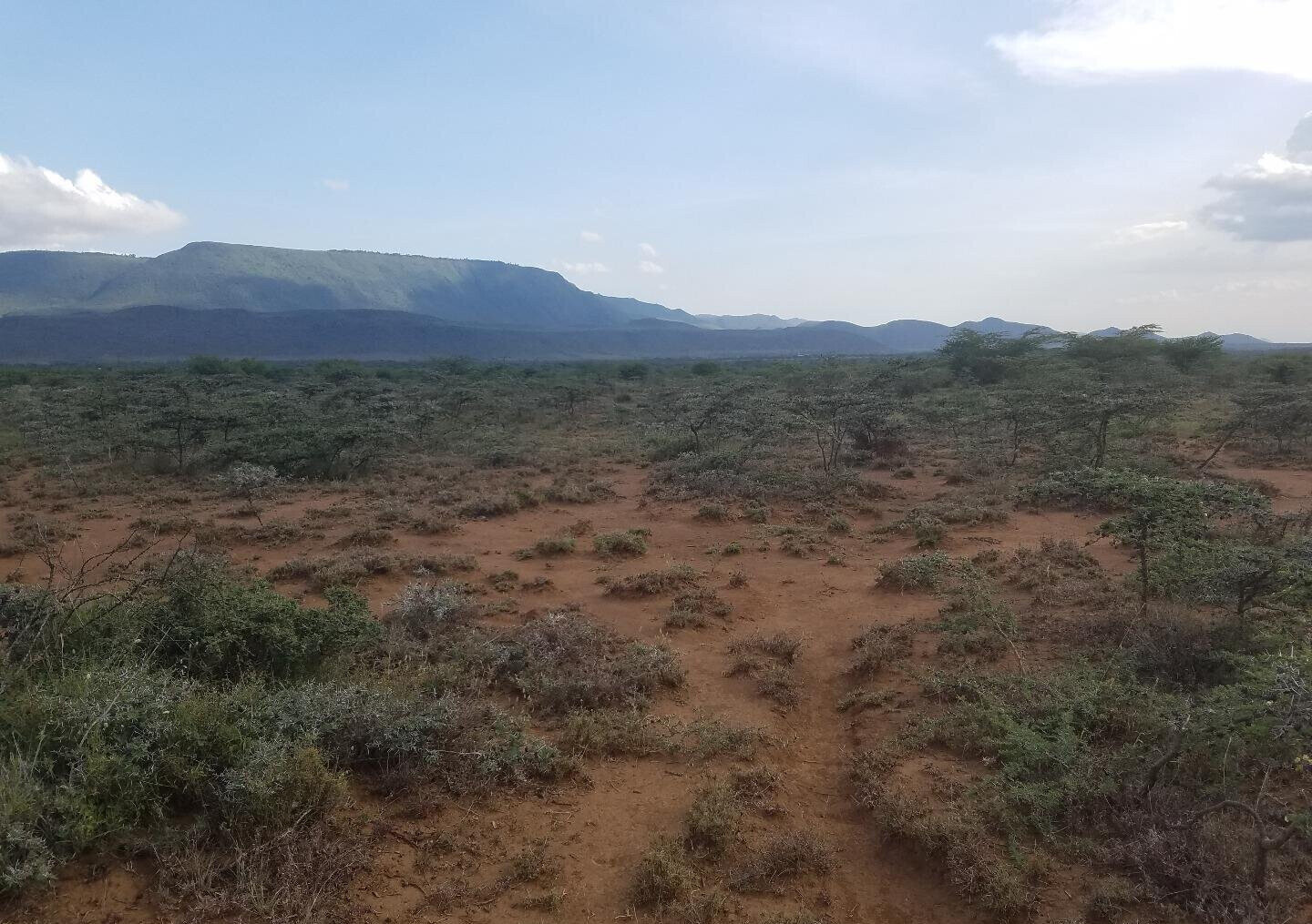 50x100 Plot Near SGR Station for KSh 425K