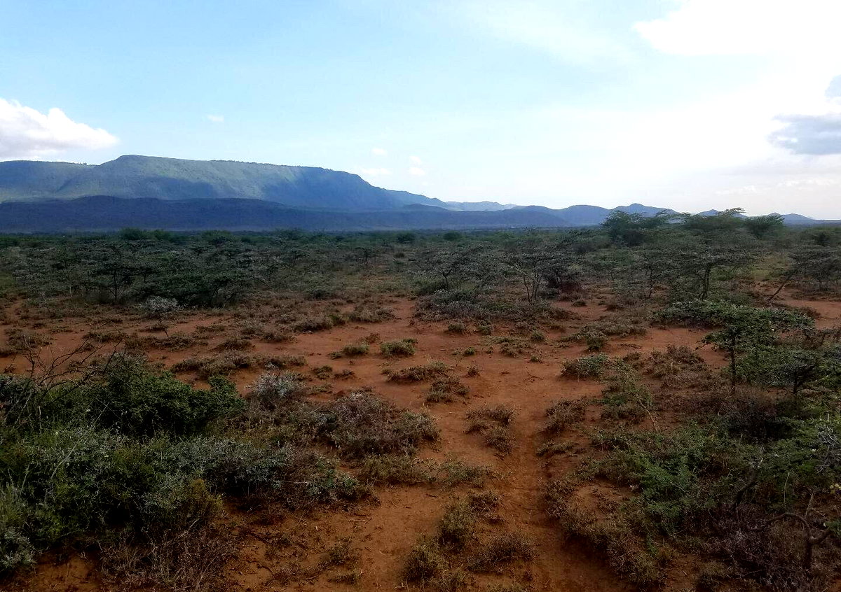 50x100 Plot Near SGR Station for KSh 425K