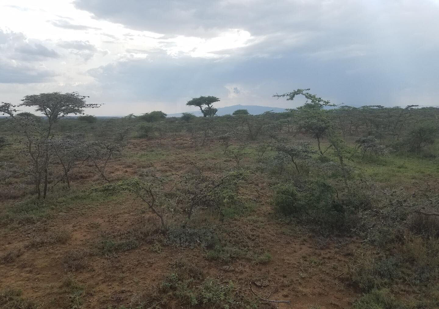 50x100 Plot Near SGR Station for KSh 425K