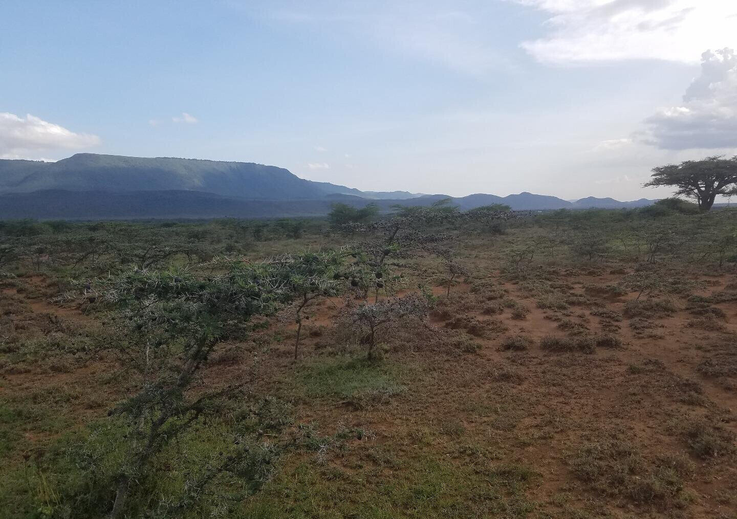 50x100 Plot Near SGR Station for KSh 425K