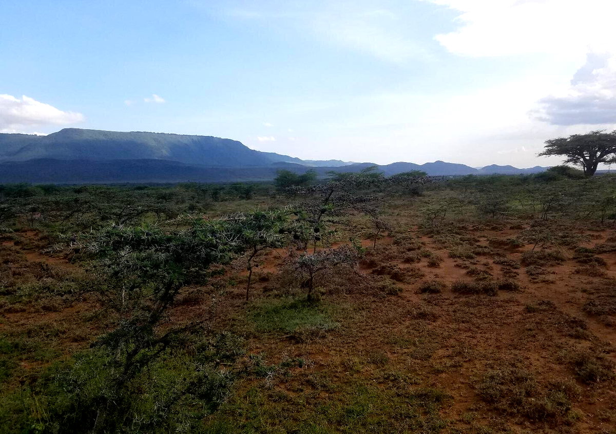 50x100 Plot Near SGR Station for KSh 425K