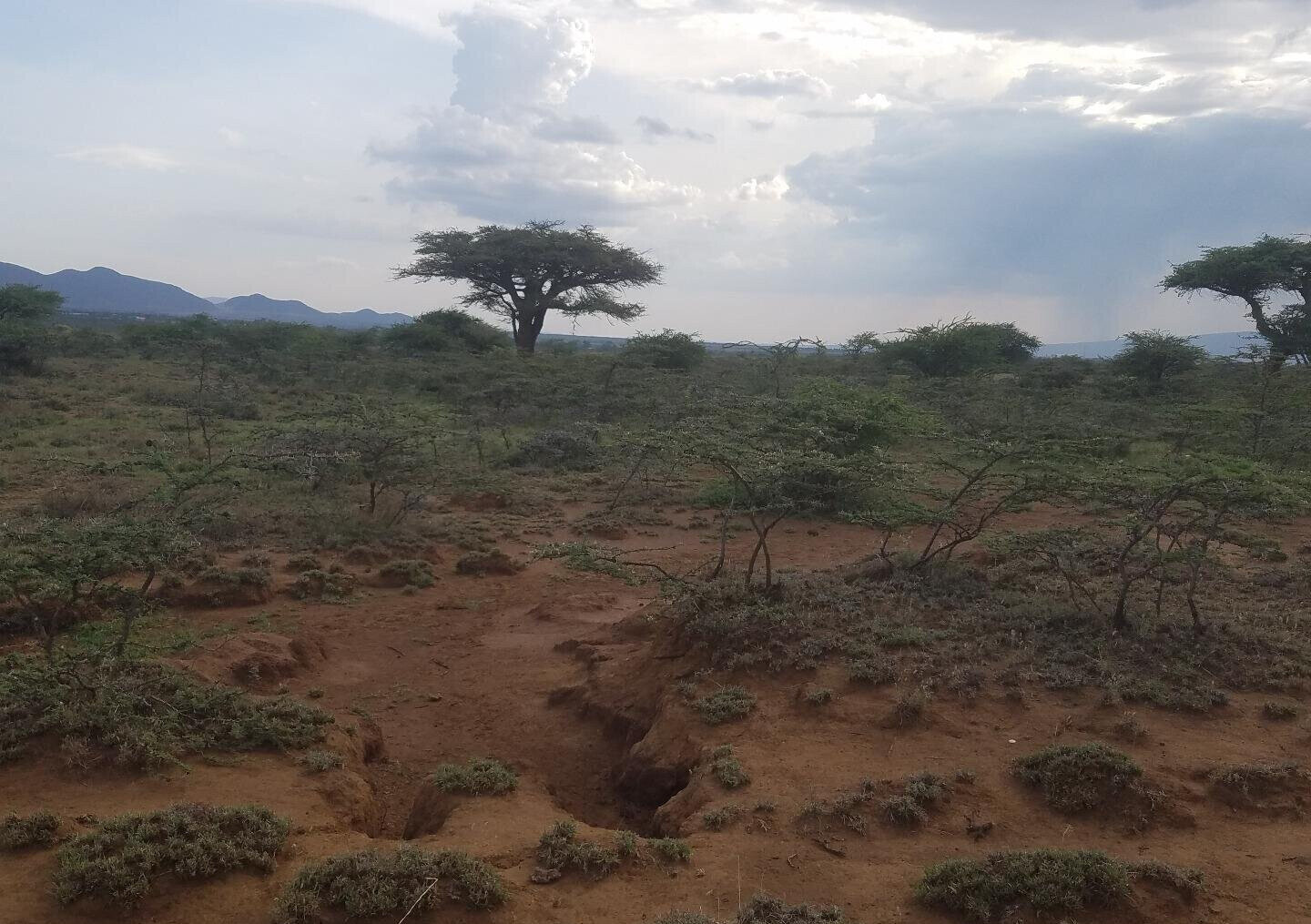 50x100 Plot Near SGR Station for KSh 425K