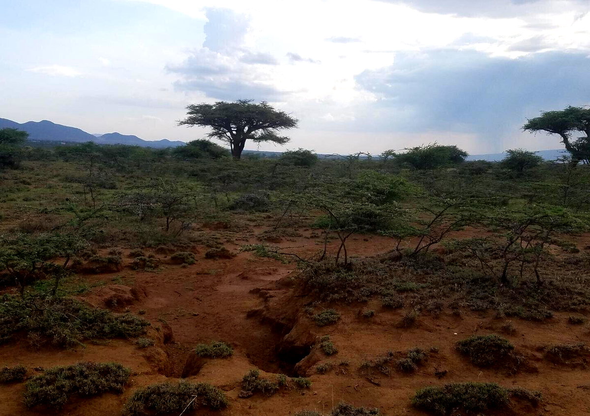 50x100 Plot Near SGR Station for KSh 425K