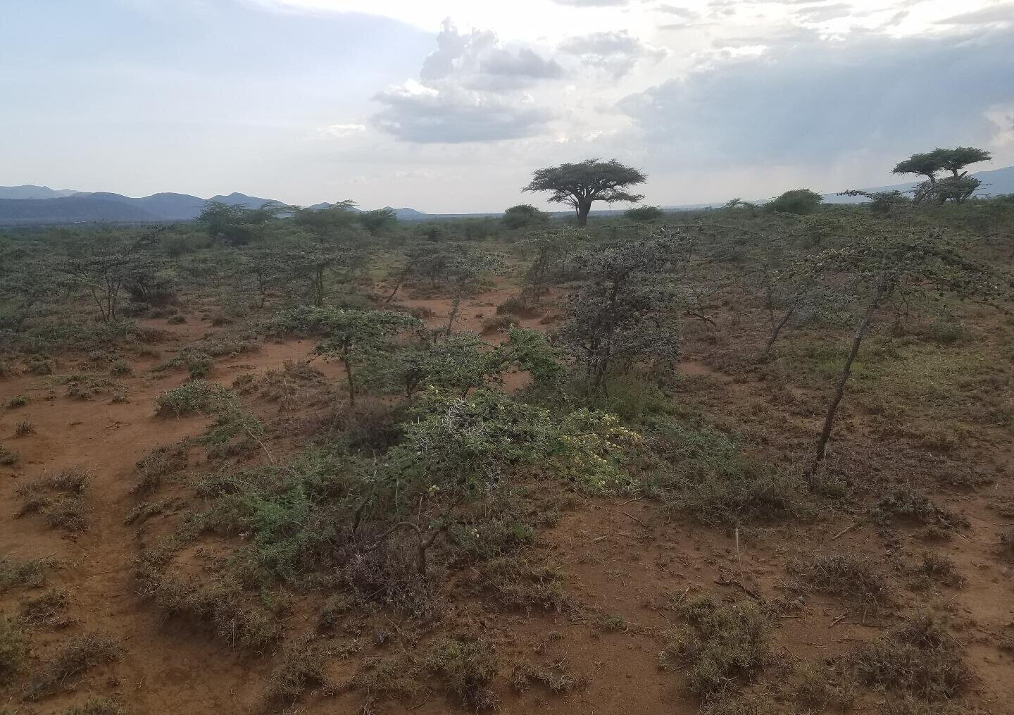 50x100 Plot Near SGR Station for KSh 425K