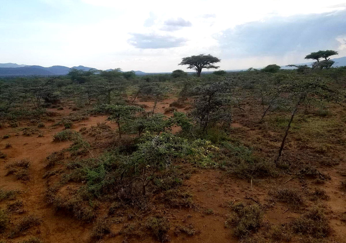 50x100 Plot Near SGR Station for KSh 425K