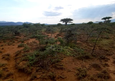 50x100 Plot Near SGR Station for KSh 425K