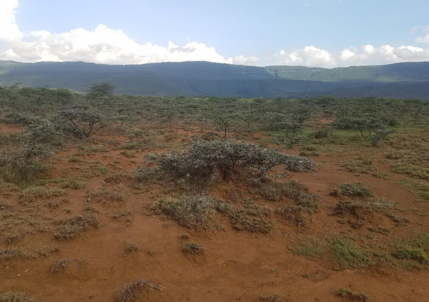 50x100 Plot Near SGR Station for KSh 425K