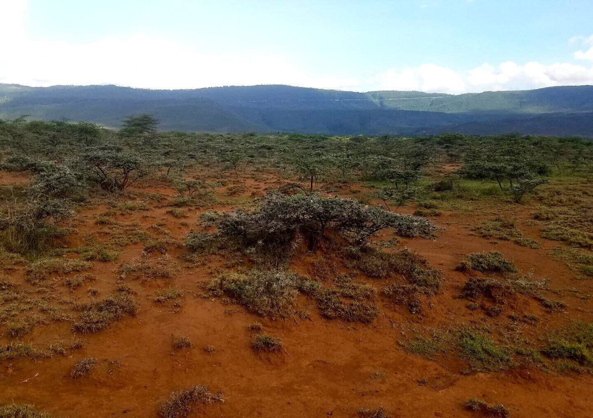 50x100 Plot Near SGR Station for KSh 425K